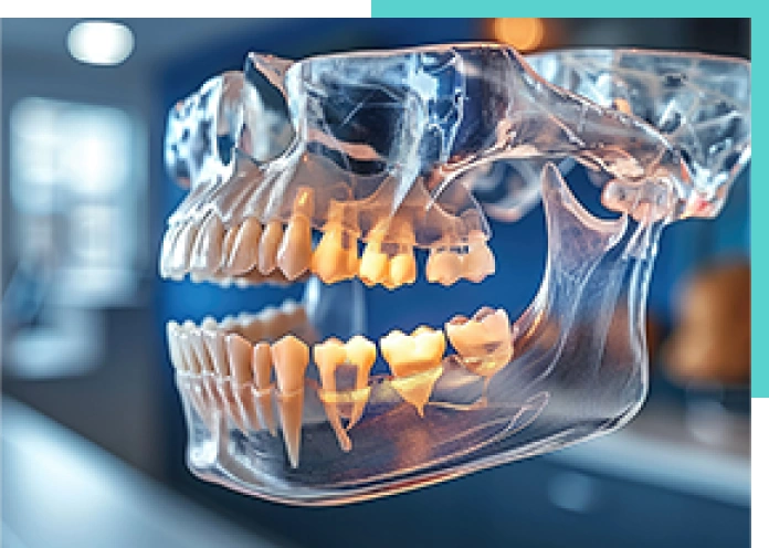 外科的施術 顎顔面の外科手術