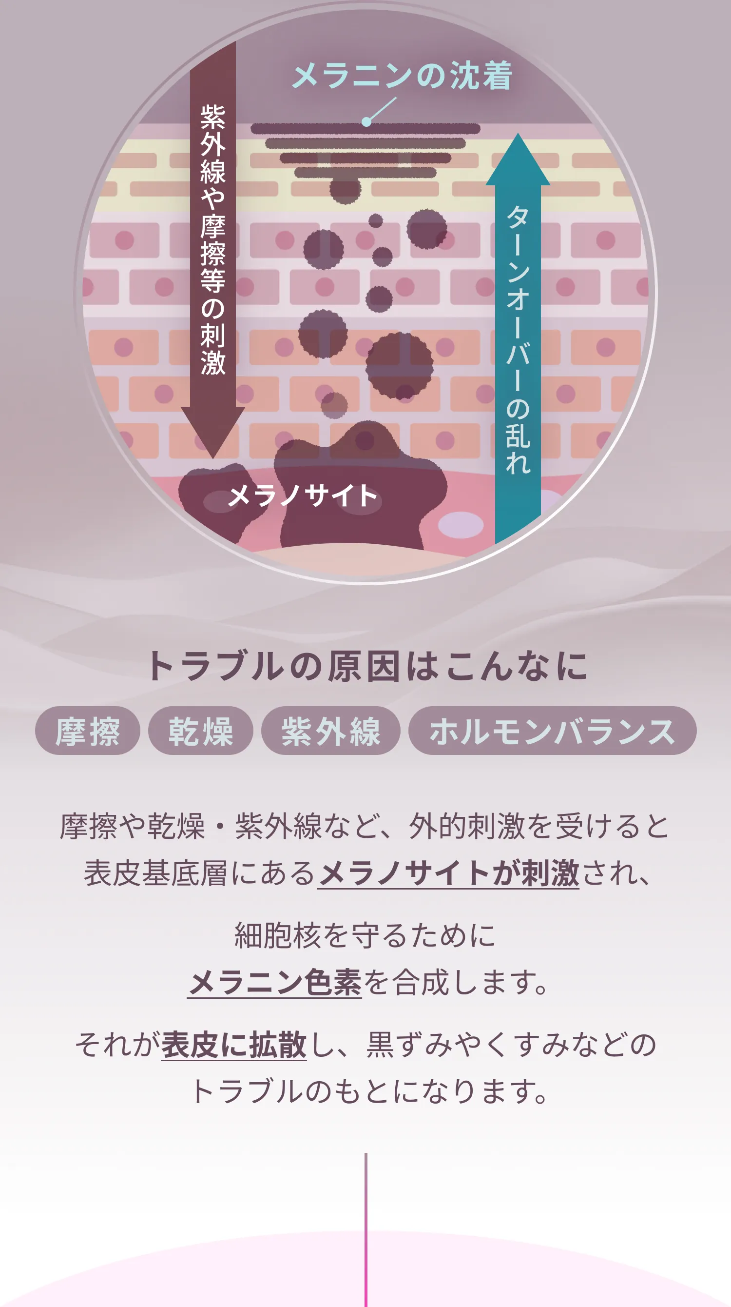 歯ぐきのメラニン沈着に関する詳細説明