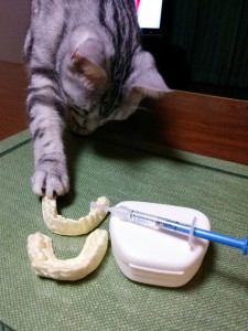 『歯のホワイトニング』